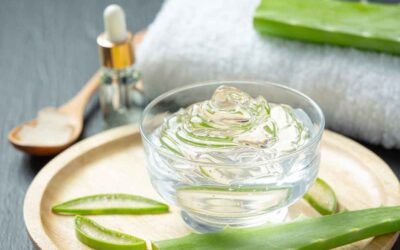 ¿Es bueno el aloe vera para el pelo?